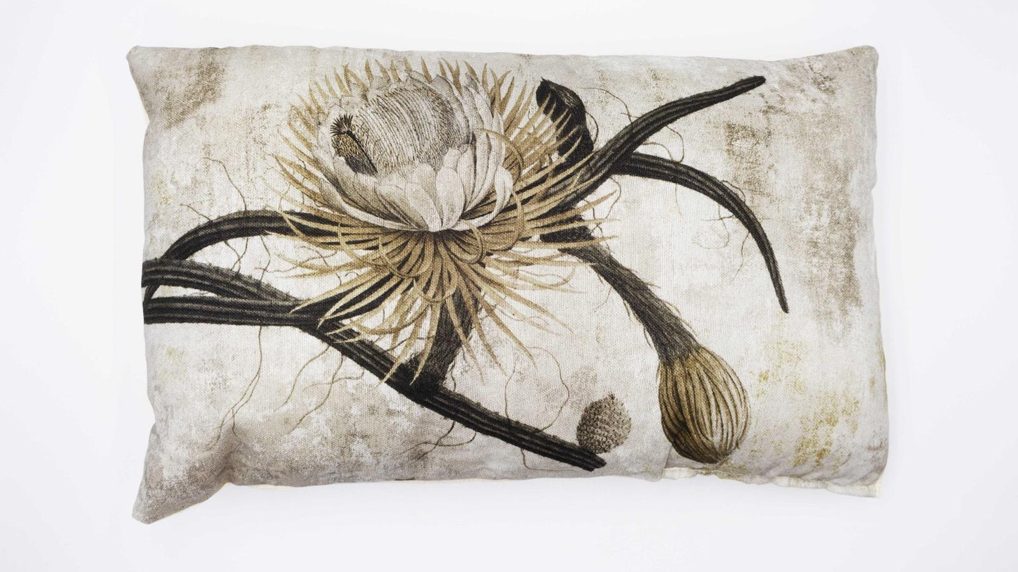 Cojín Decorativo para Cama o Sofá (Regalo por compra) - Modelo Aleatorio (Al Azar) - Tamaños 45x45 o 30x50