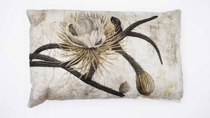 Cojín Decorativo para Cama o Sofá (Regalo por compra) - Modelo Aleatorio (Al Azar) - Tamaños 45x45 o 30x50